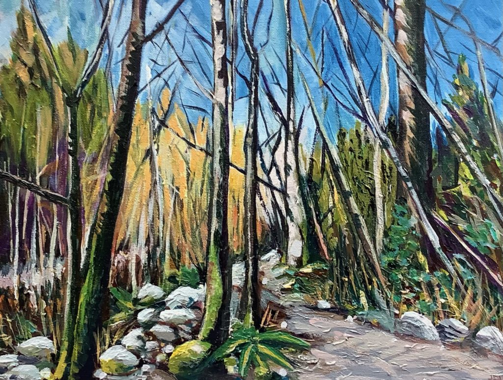 Mosquito Creek East of Bridge