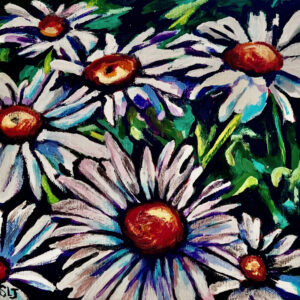 Our Summer Daisies
